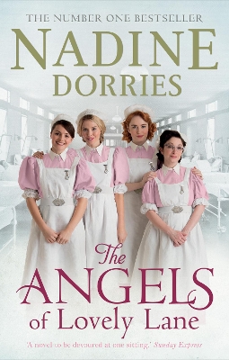 Angels of Lovely Lane book