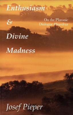 Enthusiasm and Divine Madness book