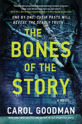 The Bones of the Story: A Novel book