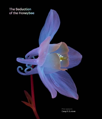 The Seduction of the Honeybee: And What It Means For You and Me book