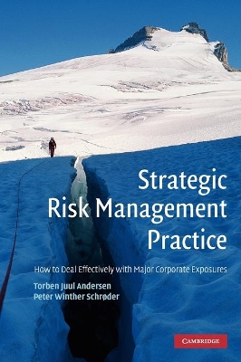 Strategic Risk Management Practice book