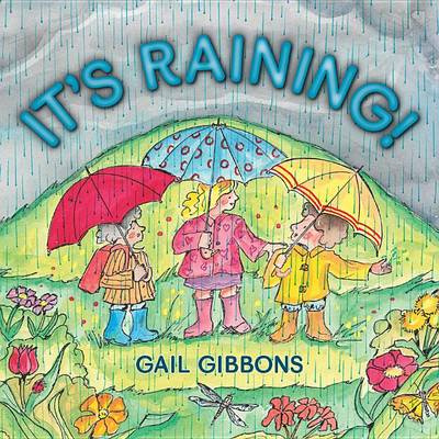 It's Raining! book