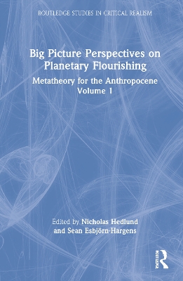 Metatheory for the Anthropocene by Nicholas Hedlund