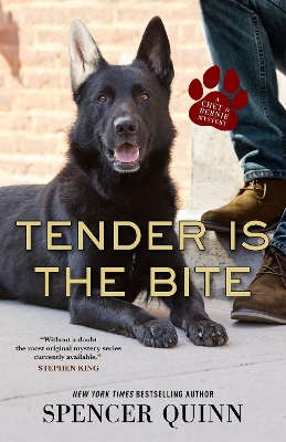 Tender Is the Bite: A Chet & Bernie Mystery by Spencer Quinn