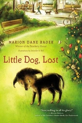 Little Dog, Lost book