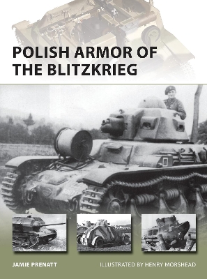 Polish Armor of the Blitzkrieg book