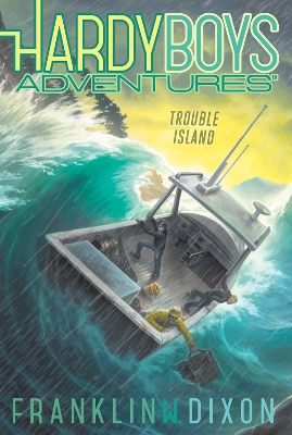 Trouble Island book