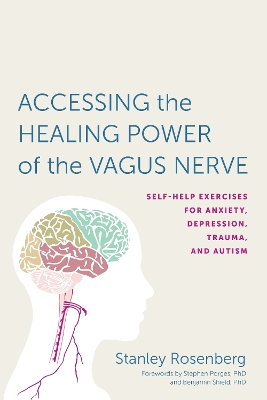 Accessing the Healing Power of the Vagus Nerve book