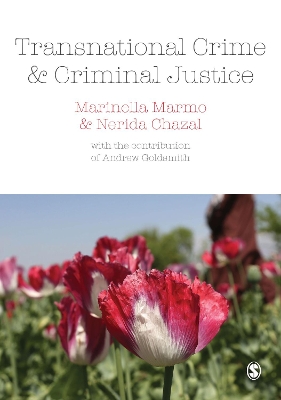 Transnational Crime and Criminal Justice by Marinella Marmo