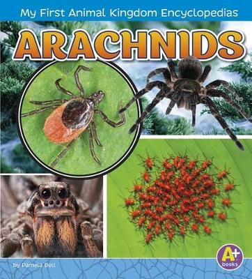 Arachnids by Pamela Dell