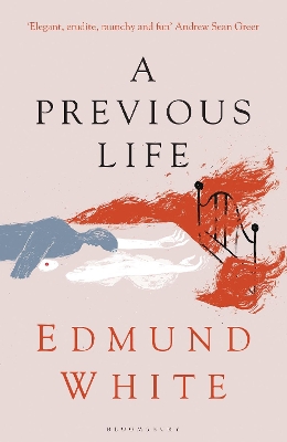 A Previous Life: Another Posthumous Novel book