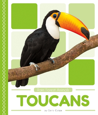 Toucans by Golriz Golkar