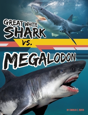 Great White Shark vs. Megalodon by Charles C Hofer