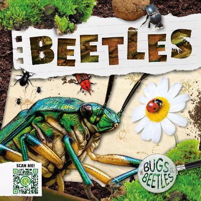 Beetles book