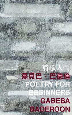 Poetry for Beginners book