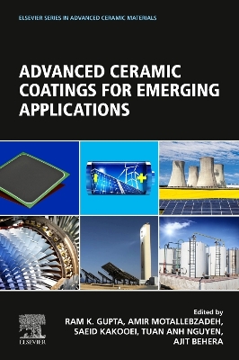 Advanced Ceramic Coatings for Emerging Applications book