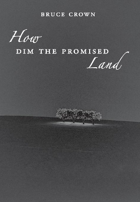 How Dim the Promised Land book