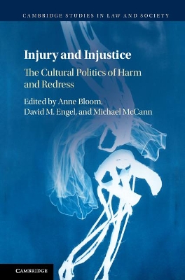 Injury and Injustice by Anne Bloom