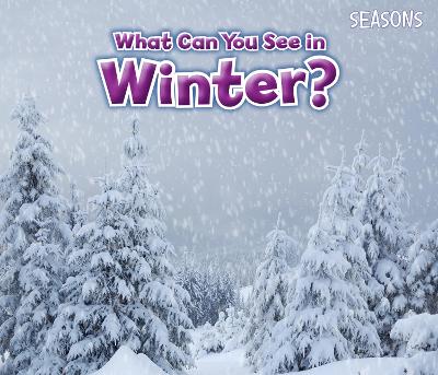 What Can You See In Winter? by Sian Smith