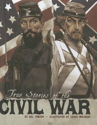 True Stories of the Civil War book