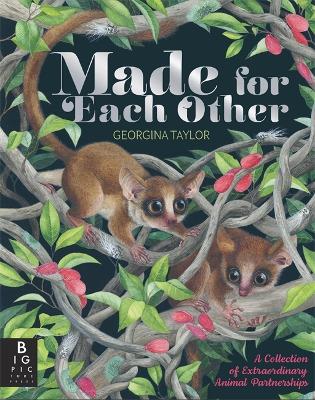 Made for Each Other book