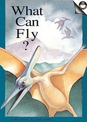 What Can Fly? book