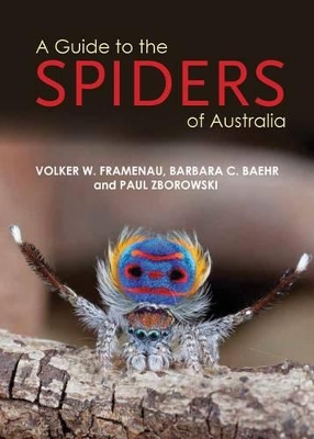 Guide to Spiders of Australia book