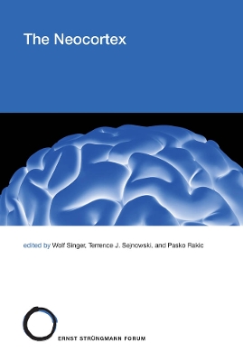 The Neocortex book