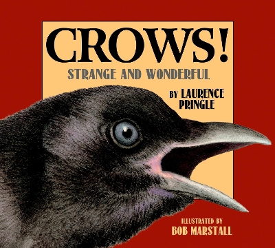 Crows! book