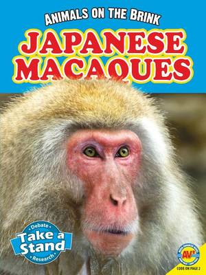 Japanese Macaques by Patricia Miller-Schroeder