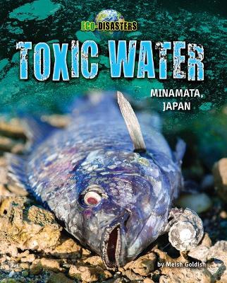 Toxic Water book