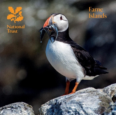 Farne Islands, Northumberland book