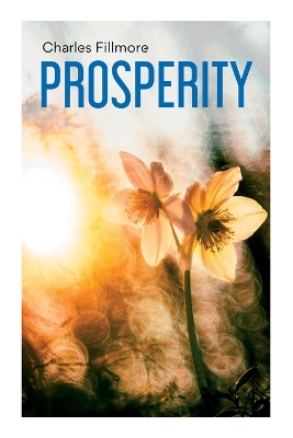 Prosperity: God Has Provided Prosperity for Every Home book