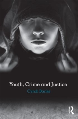 Youth, Crime and Justice book