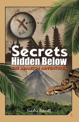 Secrets Hidden Below: The Adamson Adventures book