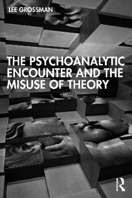 The Psychoanalytic Encounter and the Misuse of Theory book