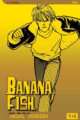 Banana Fish, Vol. 14 book