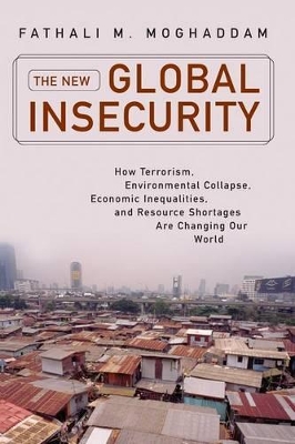 New Global Insecurity, The book