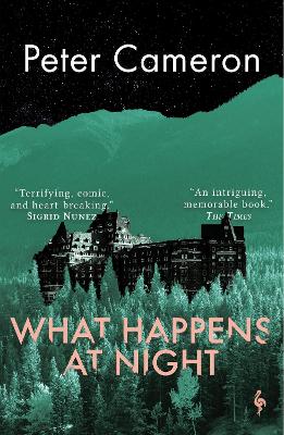 What Happens at Night book