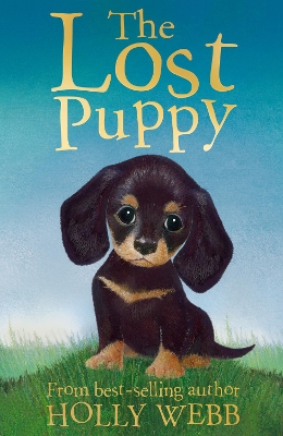 The Lost Puppy by Holly Webb