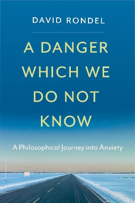A Danger Which We Do Not Know: A Philosophical Journey into Anxiety book