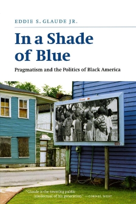 In a Shade of Blue by Eddie S. Glaude