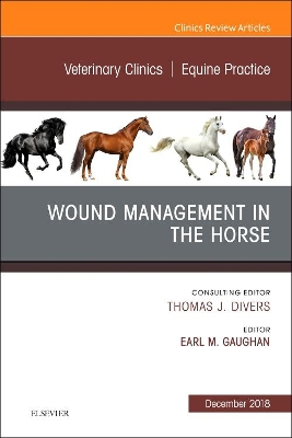 Wound Management in the Horse, An Issue of Veterinary Clinics of North America: Equine Practice: Volume 34-3 book