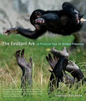 Exultant Ark book