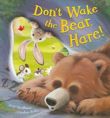 Don't Wake The Bear Hare book