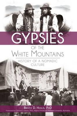 Gypsies of the White Mountains book