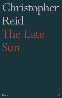 The Late Sun book