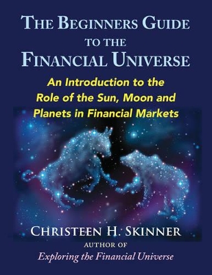 Beginners Guide to the Financial Universe book