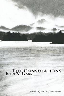 The Consolations book