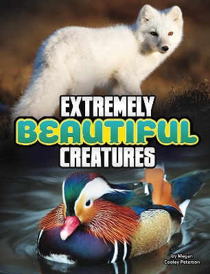 Extremely Beautiful Animals book